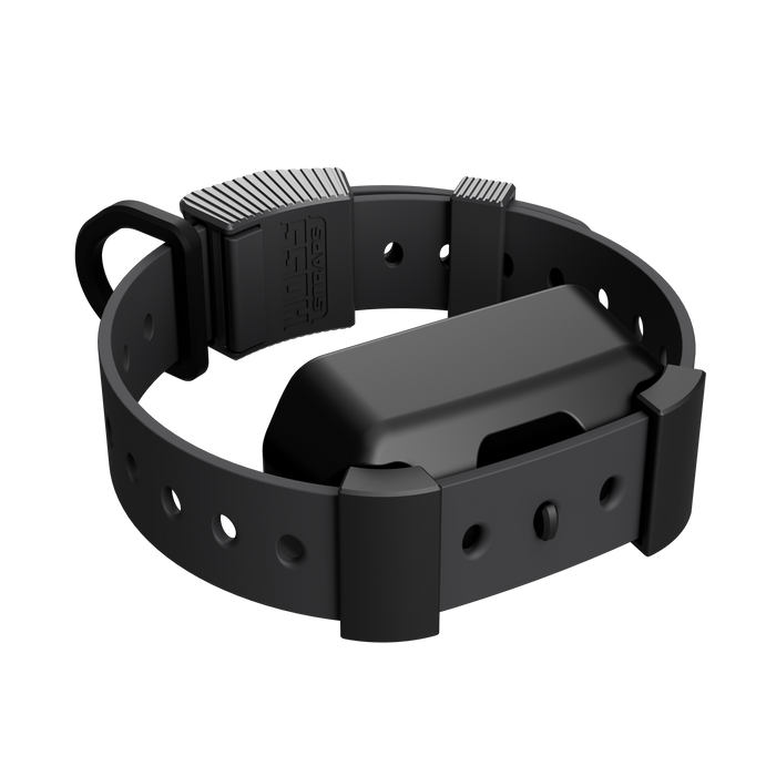 Hoss Straps Training Collar Setup