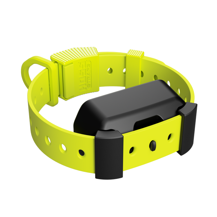 Hoss Straps Training Collar Setup