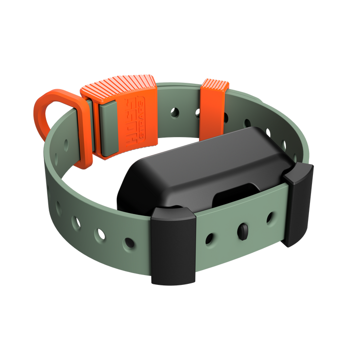 Hoss Straps Training Collar Setup