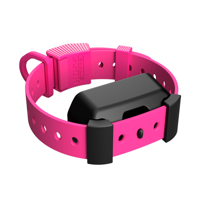 Hoss Straps Training Collar Setup