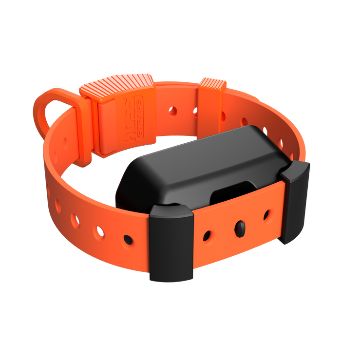 Hoss Straps Training Collar Setup