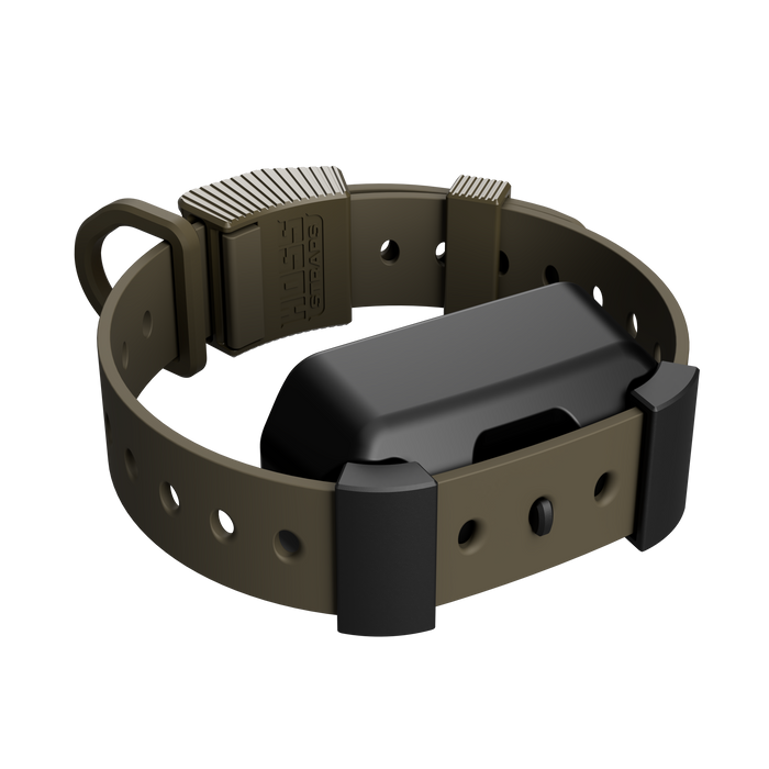 Hoss Straps Training Collar Setup