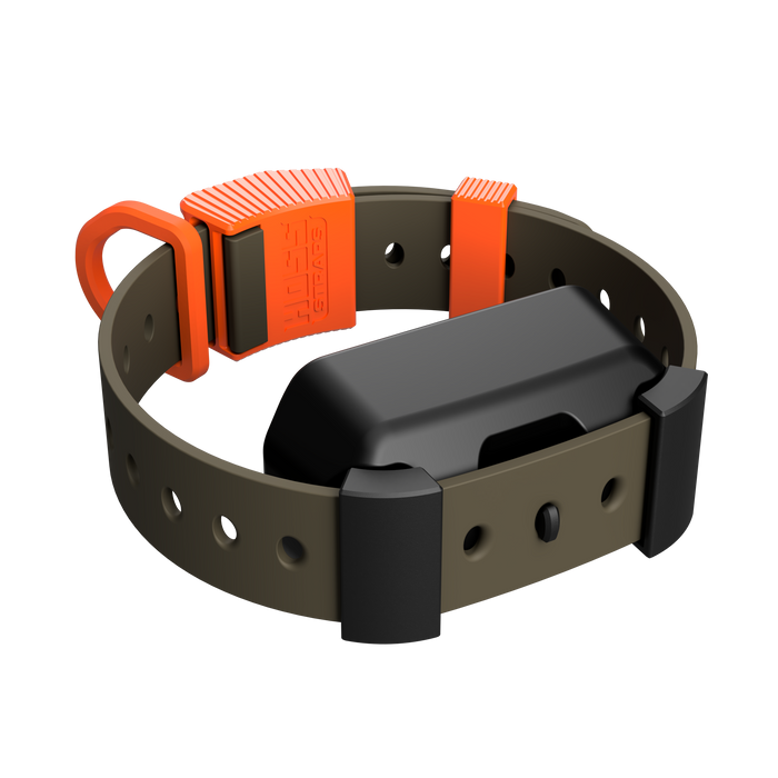 Hoss Straps Training Collar Setup