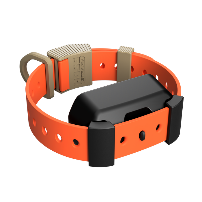 Hoss Straps Training Collar Setup