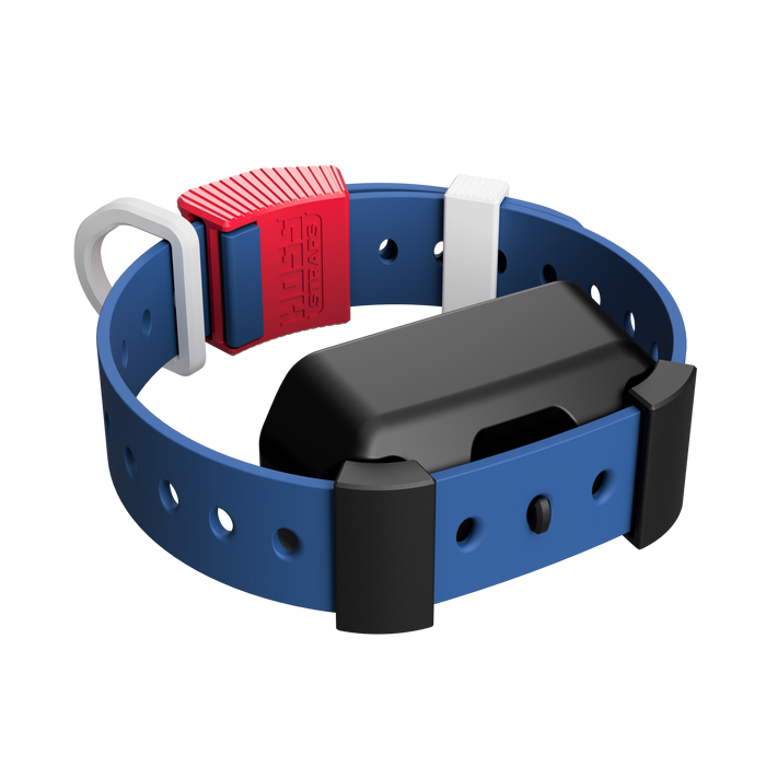 Hoss Straps Training Collar Setup
