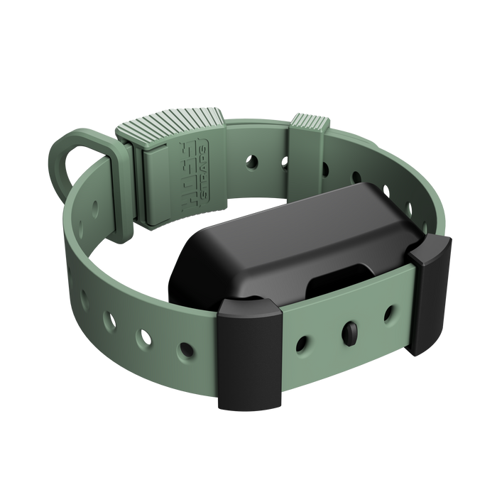 Hoss Straps Training Collar Setup