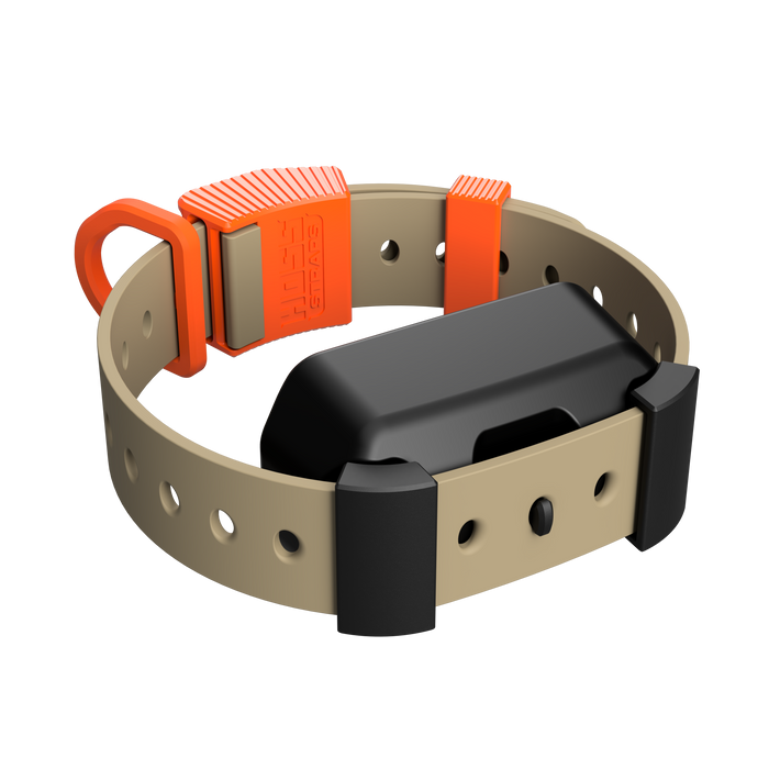 Hoss Straps Training Collar Setup
