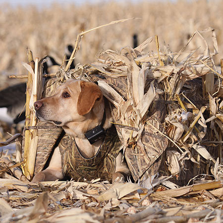 Avery GHG Ground Force Dog Blind