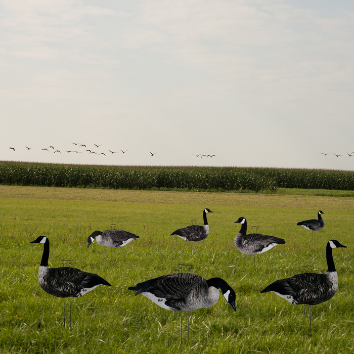 HuntEmUp Pro-Flock Flocked Canada Flock-Stopper Goose Silhouette Decoys (24-Pack) with HuntEmUp Silhouette Decoy Bag