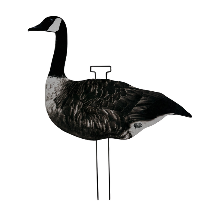 HuntEmUp Canada Goose Silhouette Decoys | Matte & Pro-Flock Options | 12-Pack Goose Hunting Decoys with Heavy-Duty Steel Stakes
