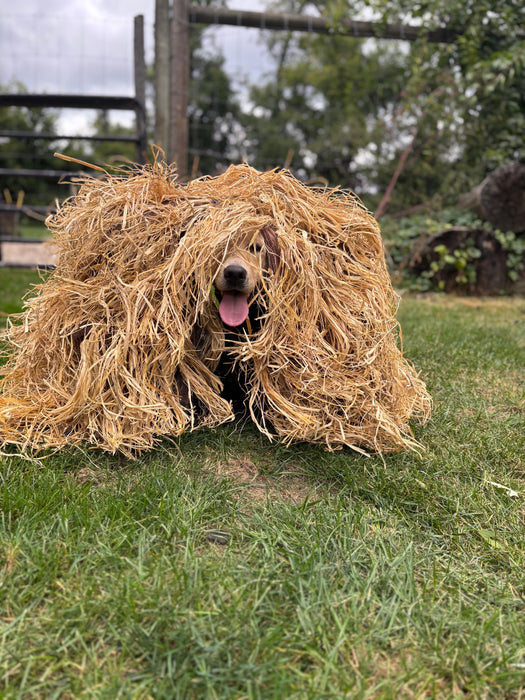 HuntEmUp Dog Blind - Champion Field and Marsh Dog Hide Hunting Solution