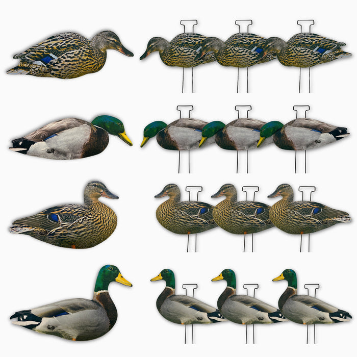 HEU matte and flocked 12 pack of mallard and hen silhouette decoys for waterfowl hunters. 