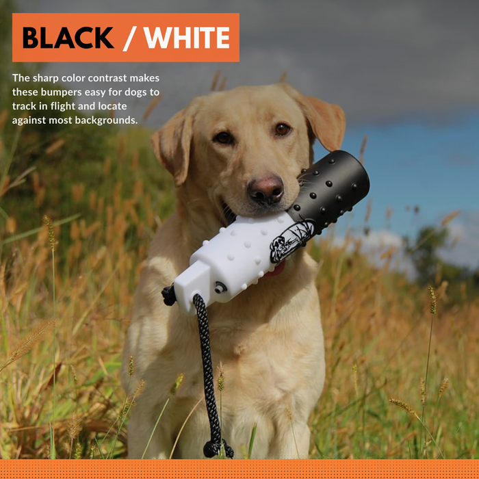 Huntemup flasher bumper with sharp contrast. standard 2inch size for retrieving 
