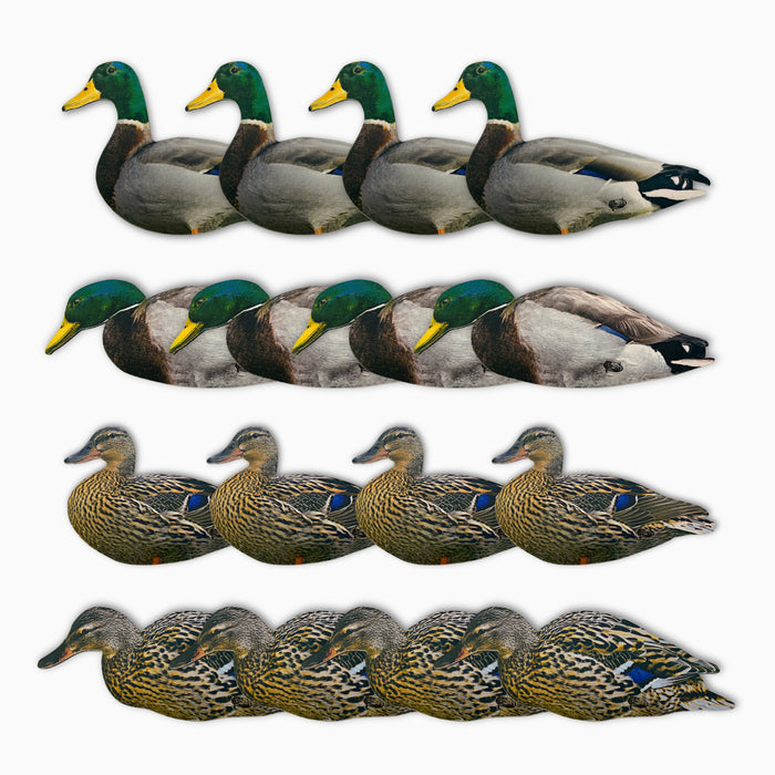 HuntEmUp Duck Silhouettes 12 pack with 4 poses, 2 mallard designs, 2 hen designs 