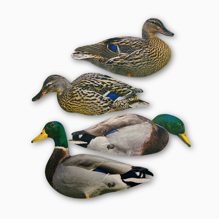 HEU Resting Mallard, Feeding Mallard, Resting hen, and feeding hen duck silhouettes