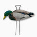 HuntEmUp feeding mallard silhouette decoy with stake - realistic decoy with matte or flocked finish
