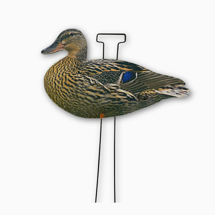 HuntEmUp hen silhouette duck decoy with heavy duty stake, realistic matte or flocked finish