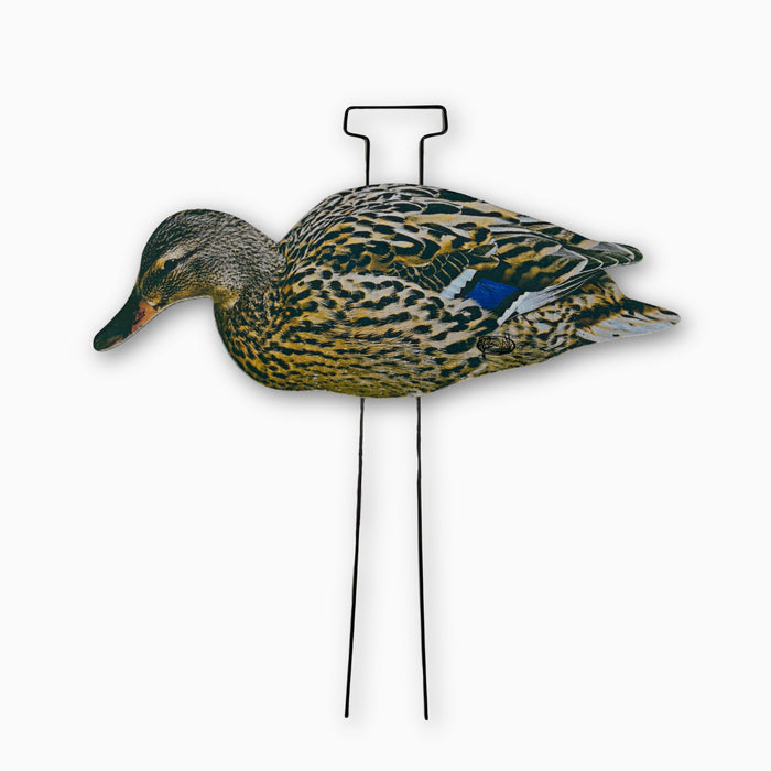 HuntEmUp flocked and matte finish hen for waterfowl hunting with heavy duty stake