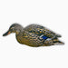 HuntEmUp realistic resting hen silhouette decoy