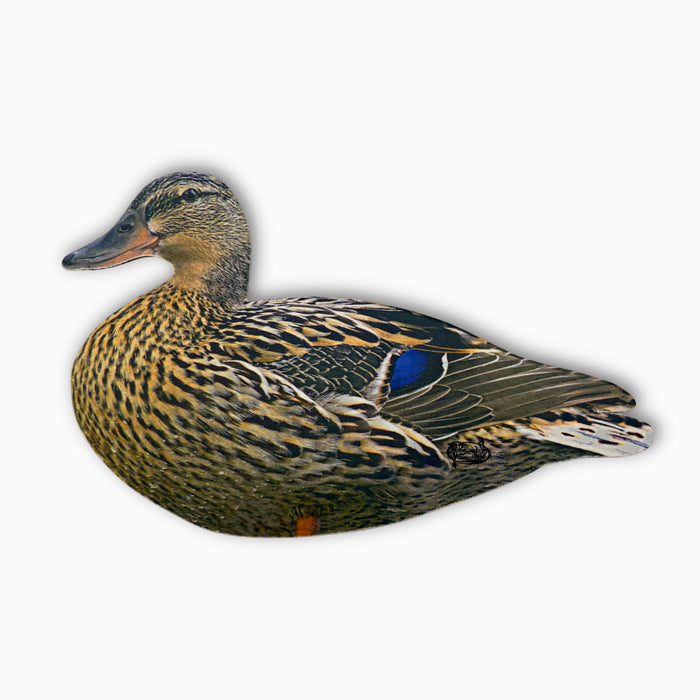 HEU resting hen silhouette decoy for waterfowl hunters