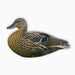 HEU resting hen silhouette decoy for waterfowl hunters