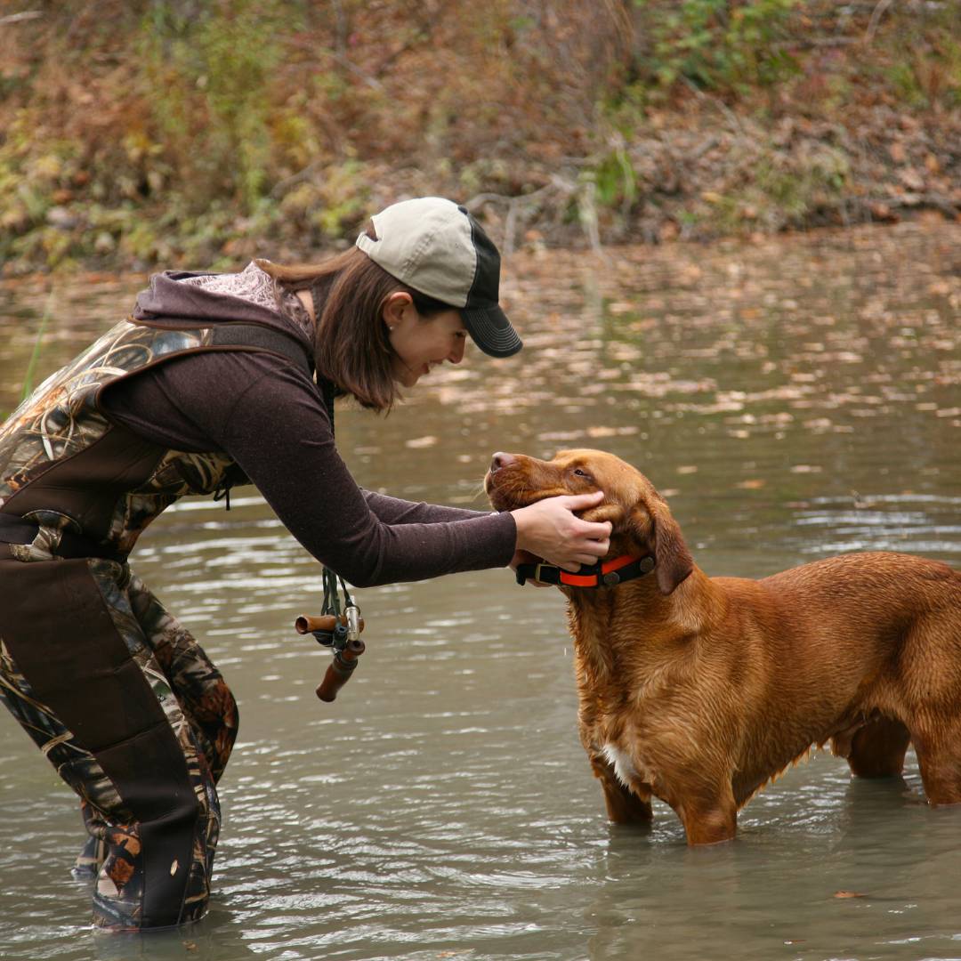 Dog Training