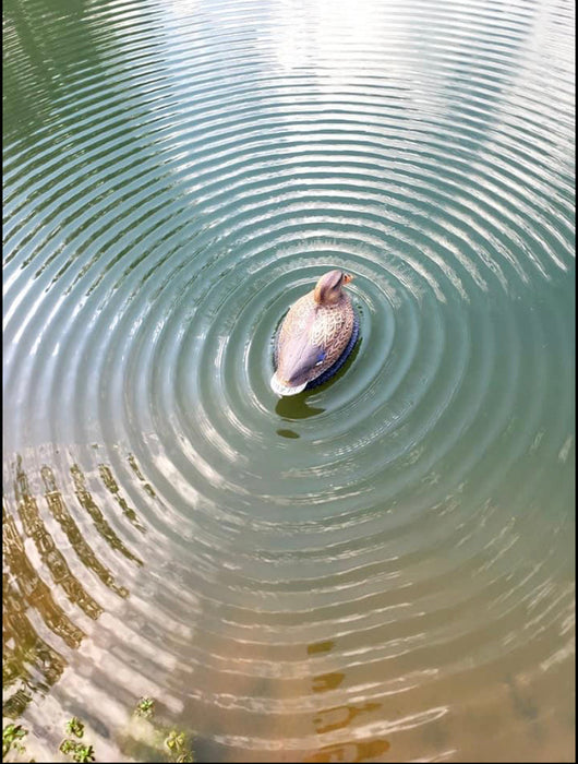 The Wobbler Motion Duck Decoy - Air Boss Motion Decoys