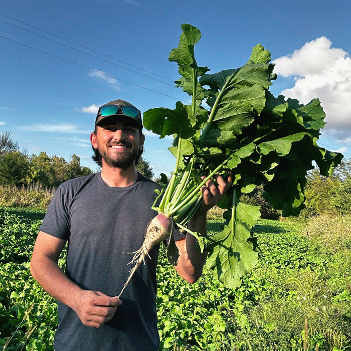 Turnips - Rolling Hills Supply