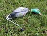 DUMMY MALLARD RETRIEVING DOG DUCK BUMPER RETRIEVER FOWL DEAD