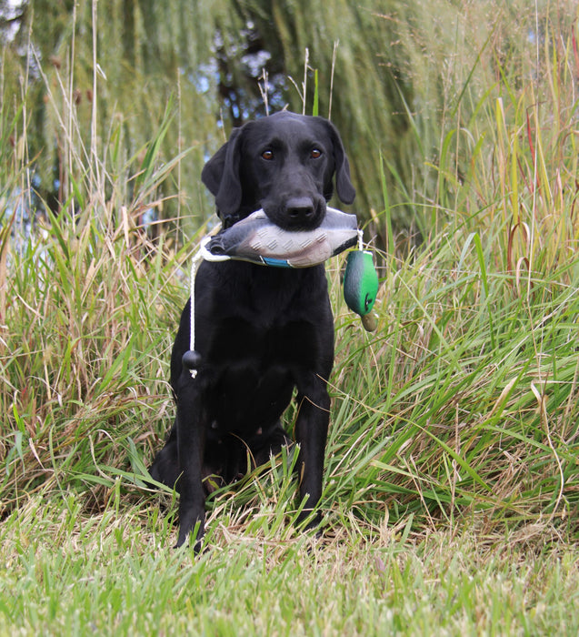 HUNTEMUP ULTIMATE DUCK DOG TRAINING DUMMY MALLARD