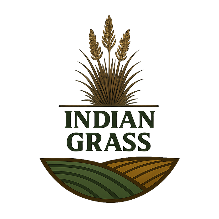 Indiangrass Habitat Seed