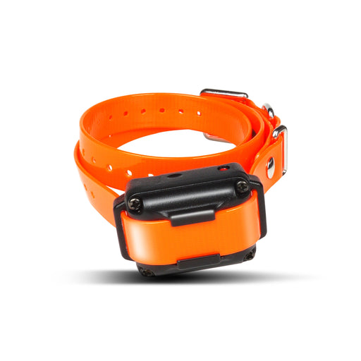 Dogtra iQ Plus Extra Collar