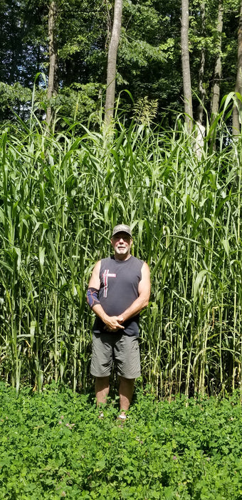 Incognito™ Food Plot Seed