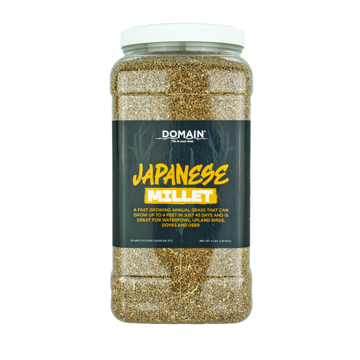 Japanese Millet Food Plot Seed