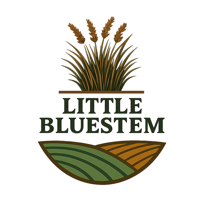 Little Bluestem Habitat Seed