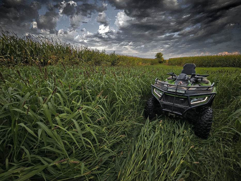 Landing Strip™ Food Plot Seed