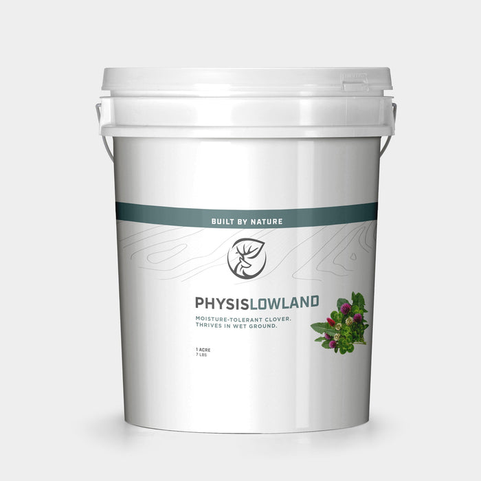 Physis - LOWLAND