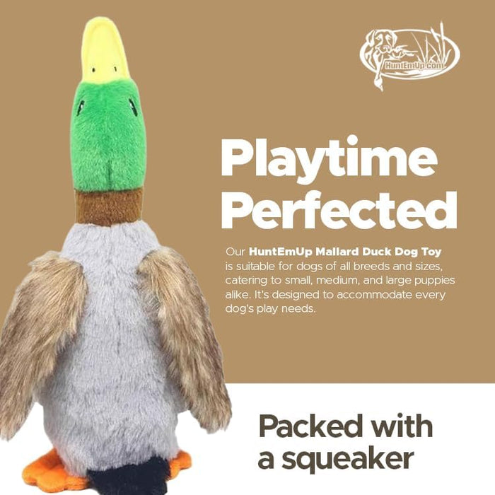 Mallard Duck Dog Toy