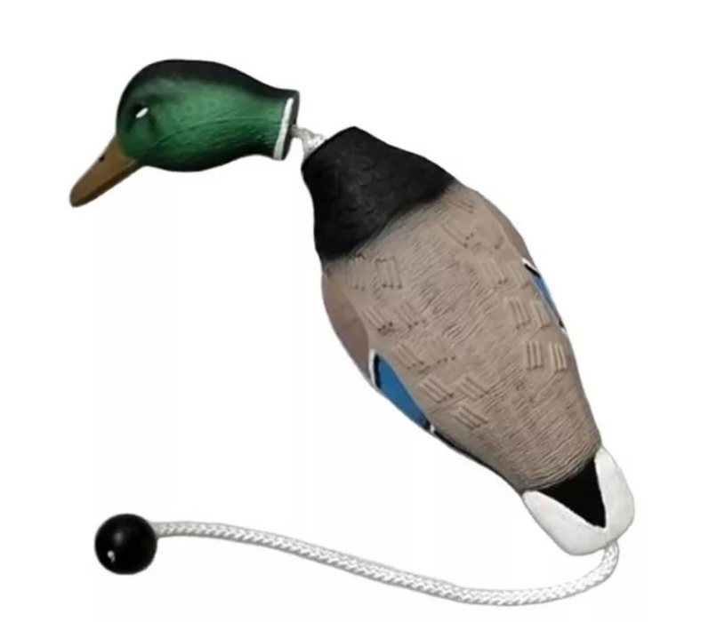 HuntEmUp Mallard Training Bundle - Dead Fowl Mallard Dummy & Concentrated Waterfowl Dog Training Scent