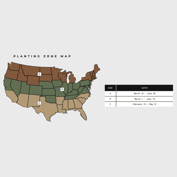 SwitchGrass - Rolling Hills Supply