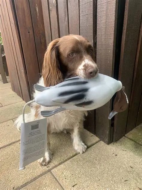 Dokken Pintail Dead Fowl Trainer Dummy for Enhanced Dog Training