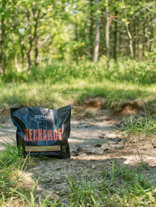 Recharge™ Deer Mineral