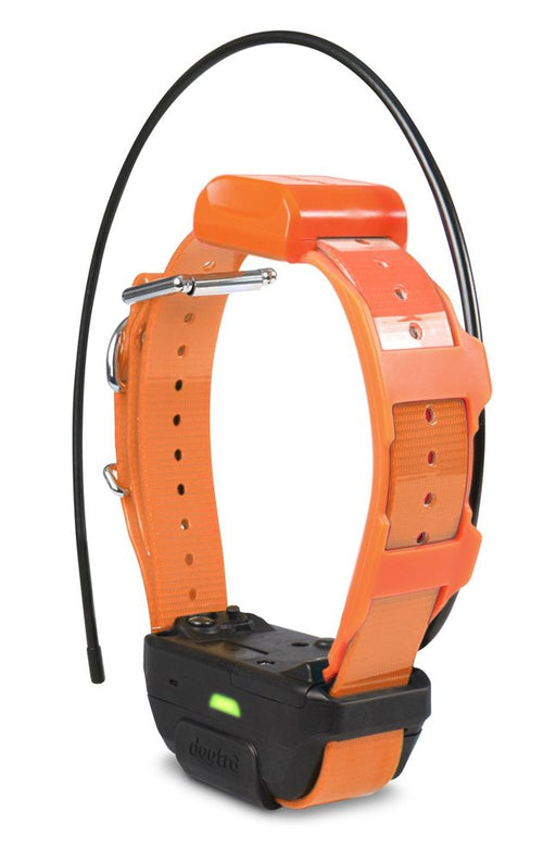 Dogtra Pathfinder TRX Collar Orange