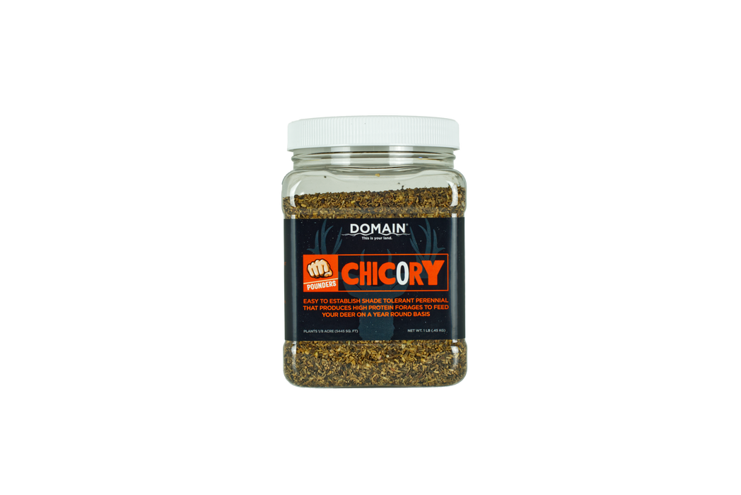 Domain Pounder – Chicory Food Plot Seed