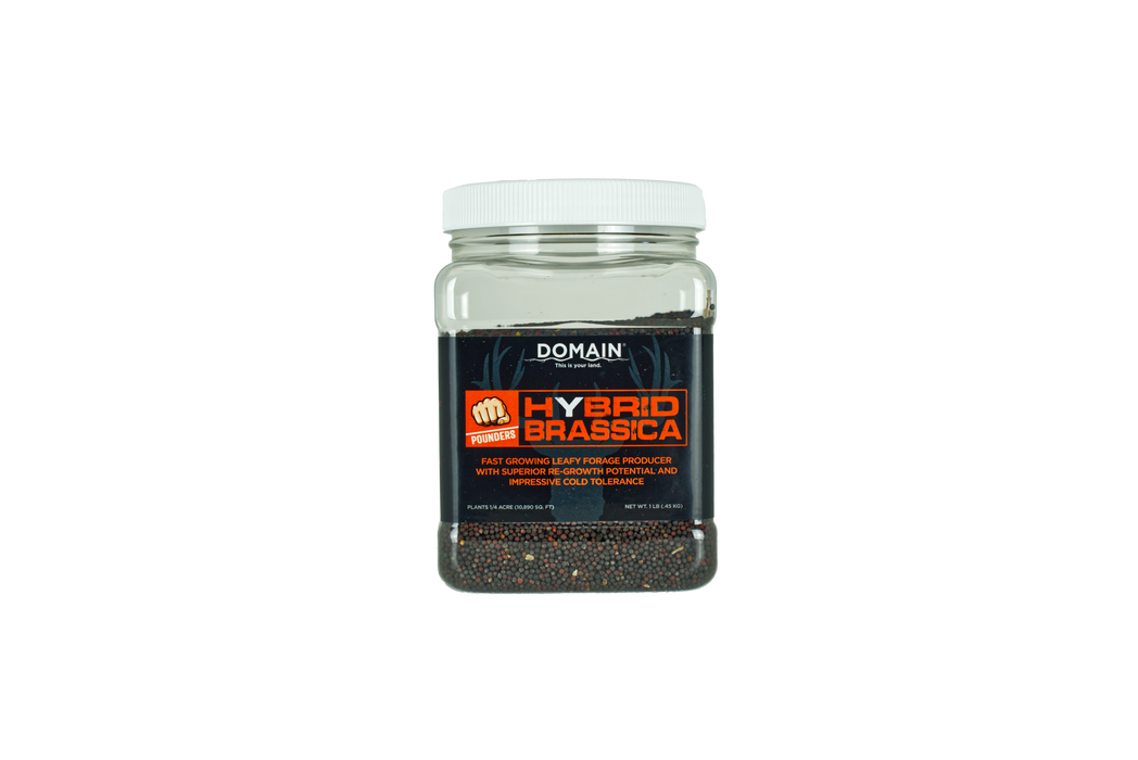 Domain Pounder – Hybrid Brassica Food Plot Seed