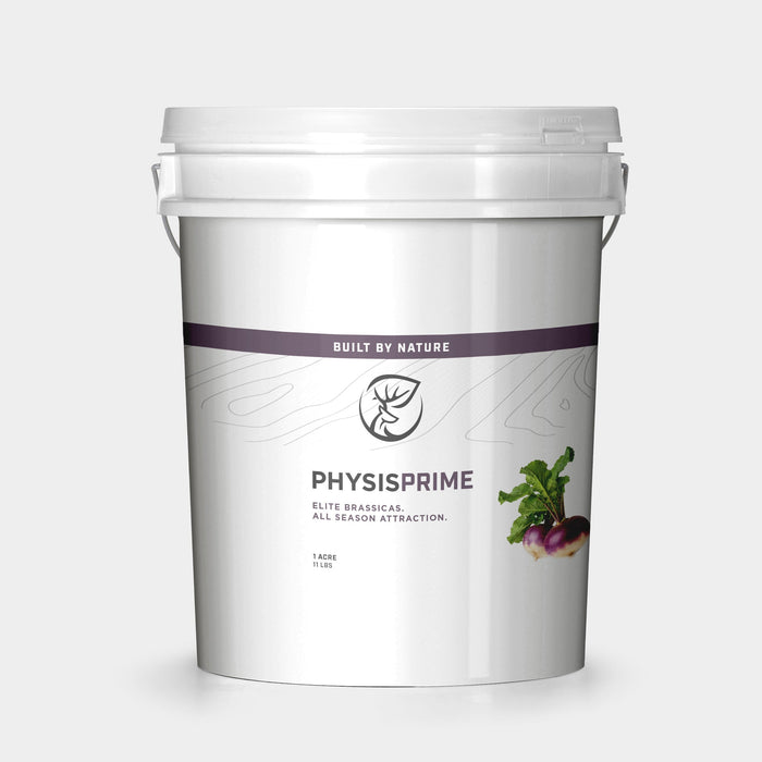 Physis - PRIME