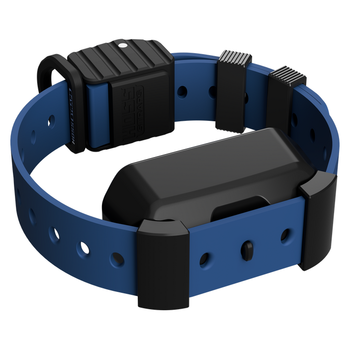 Pro Series Training Collar Setup