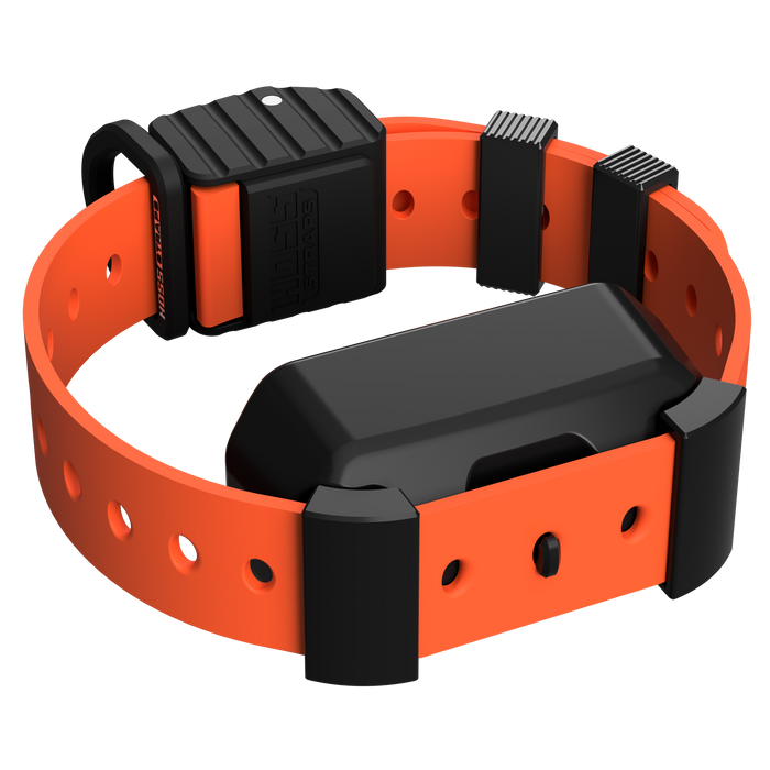 Pro Series Training Collar Setup