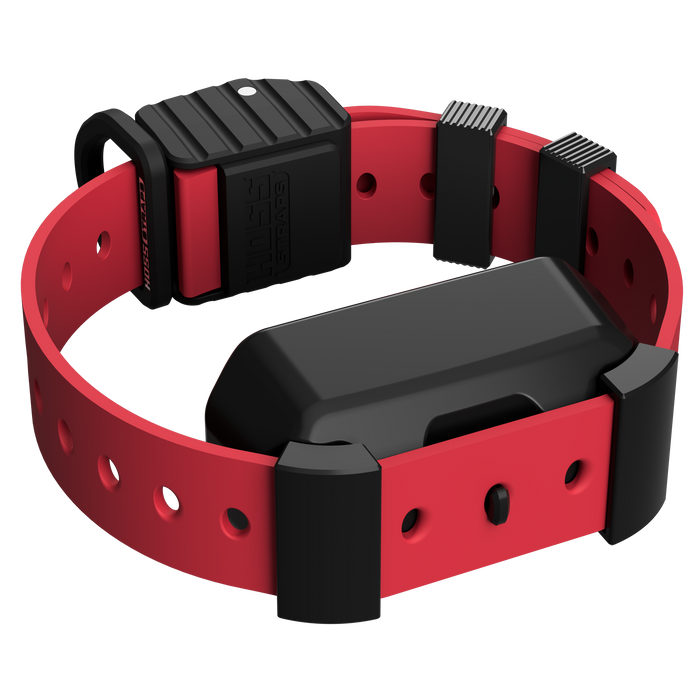 Pro Series Training Collar Setup