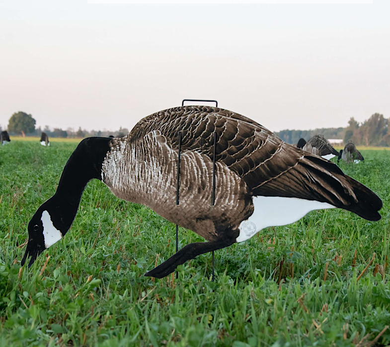 Real-Geese Pro II Lite Full-Color Goose Decoys – 1 Dozen